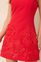 A Little More to Adore Red Floral Appliqué Sleeveless Mini Dress