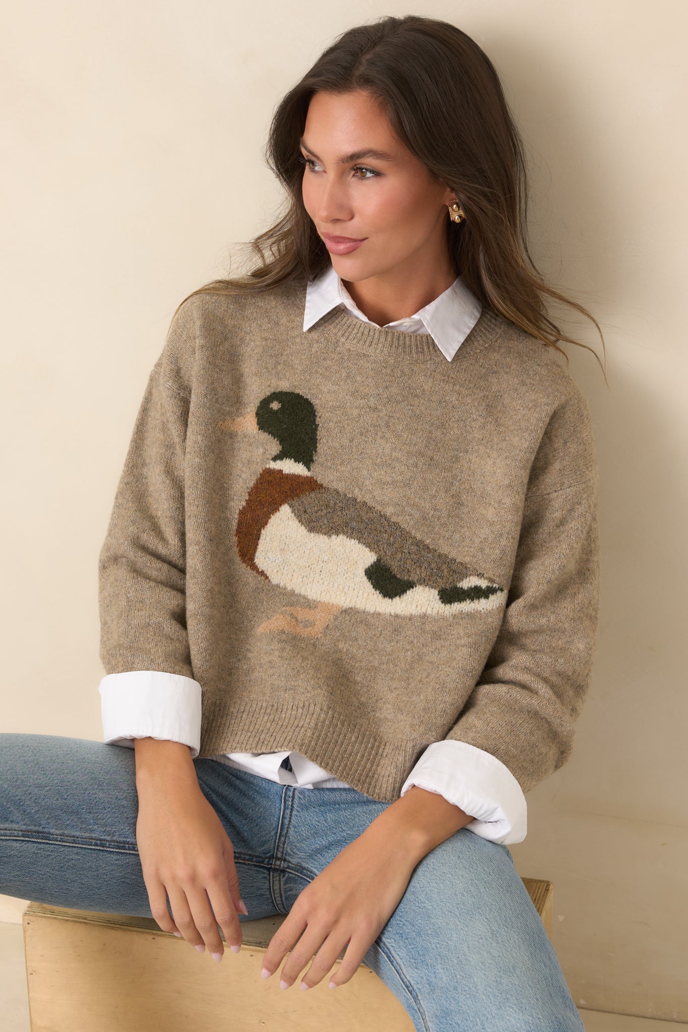 A Little Fowl Play Taupe Duck Intarsia Knit Sweater